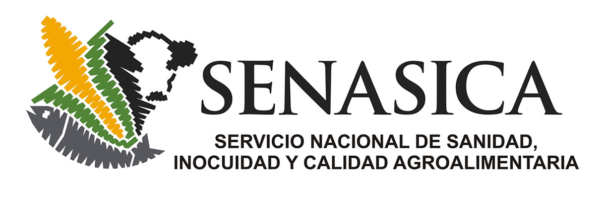 Ir a Hasvisto a