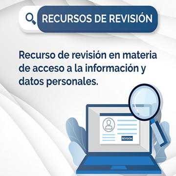 Recurso de revisión